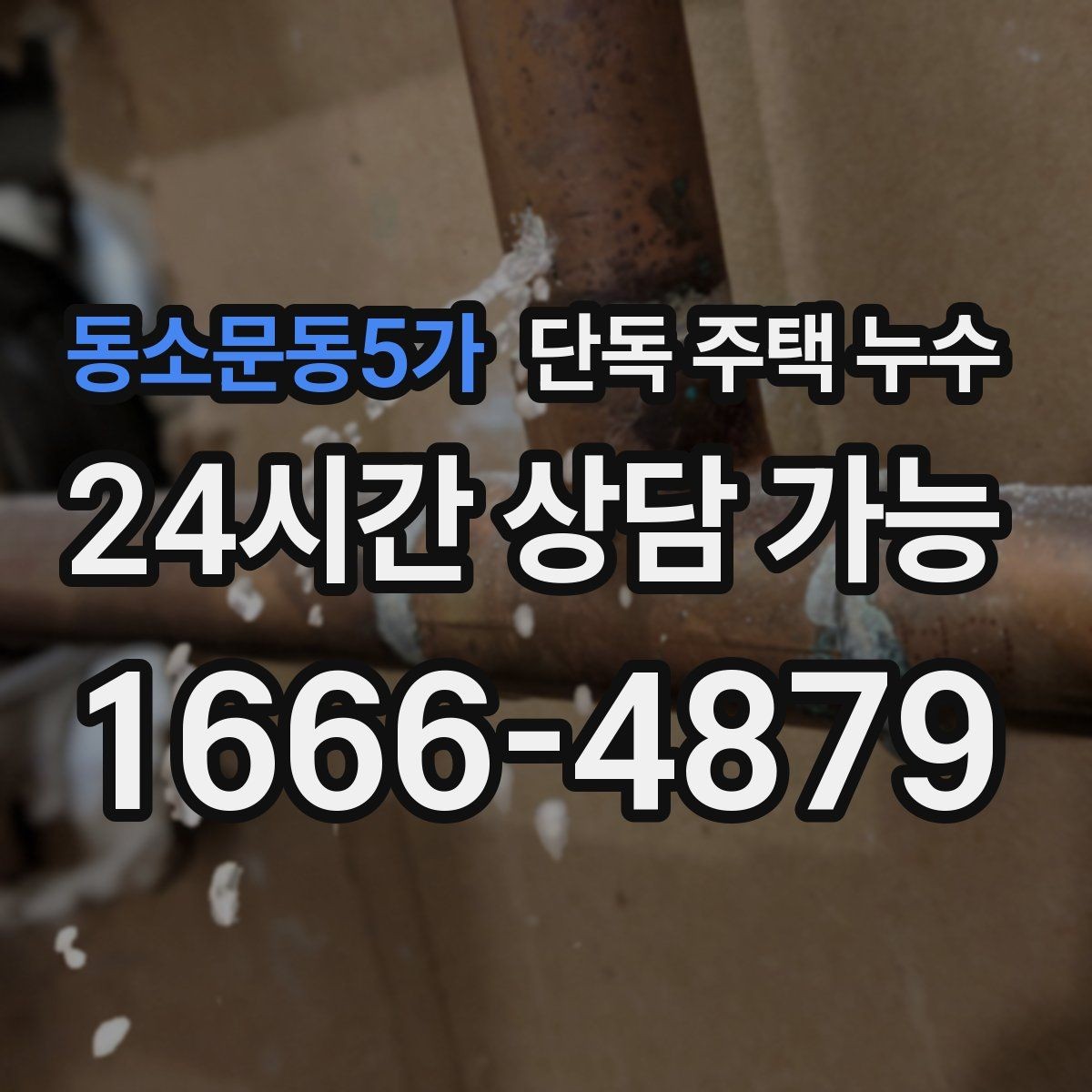 동소문동5가 단독 주택 누수 장마 전 점검하면 좋은 5가지 포인트