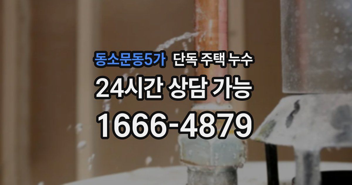 동소문동5가 단독 주택 누수