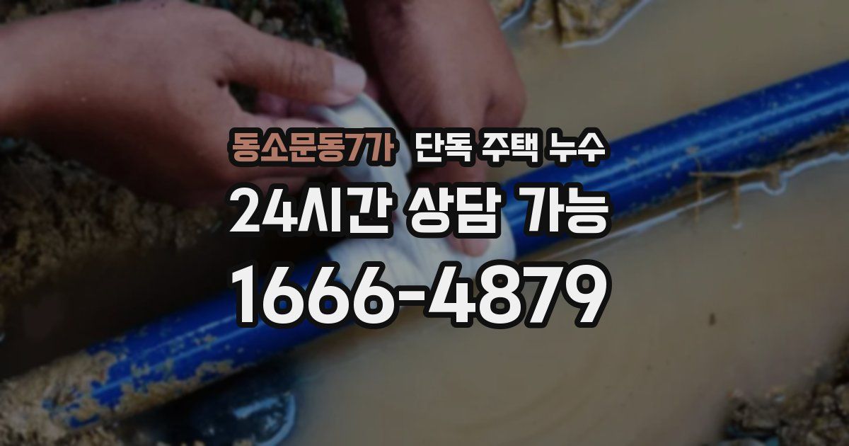 동소문동7가 단독 주택 누수