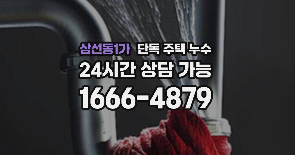 삼선동1가 단독 주택 누수