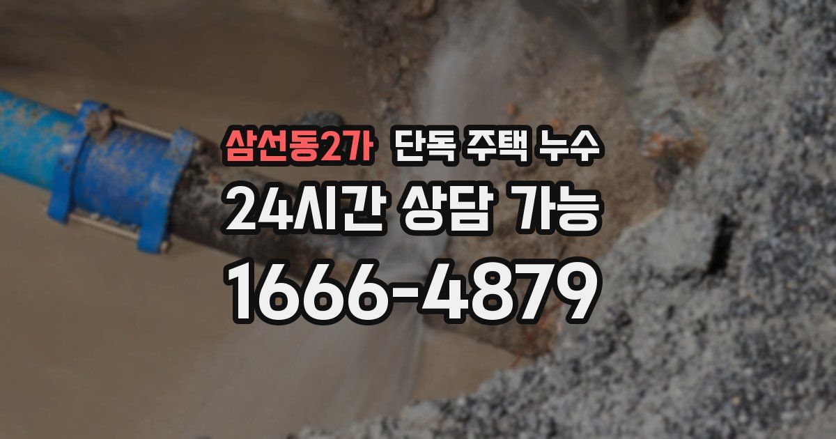 삼선동2가 단독 주택 누수