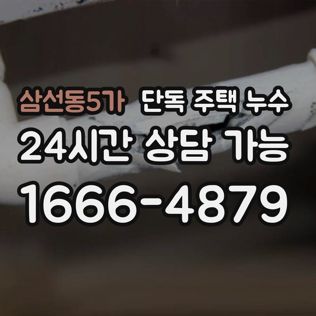 삼선동5가 단독 주택 누수 벽 모서리 곰팡이가 반복될 때 점검