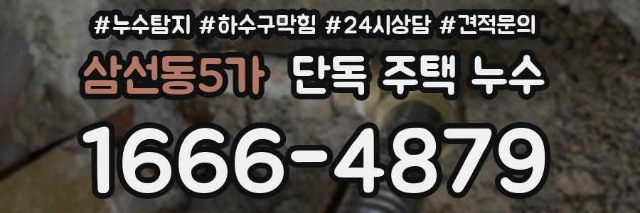 삼선동5가 단독 주택 누수