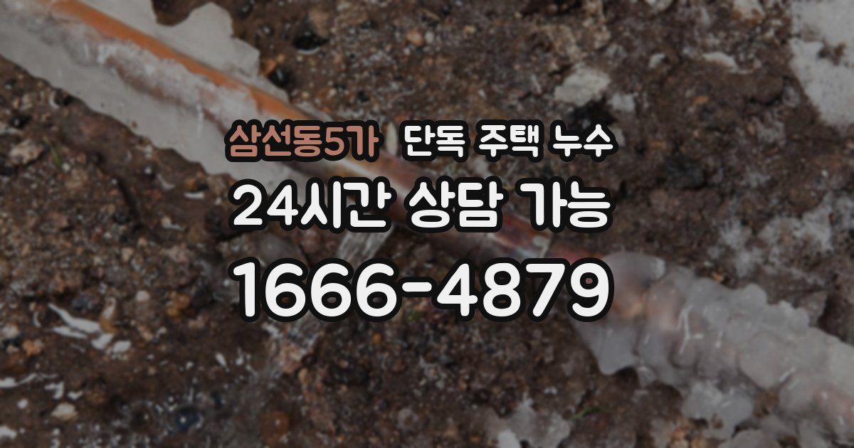 삼선동5가 단독 주택 누수
