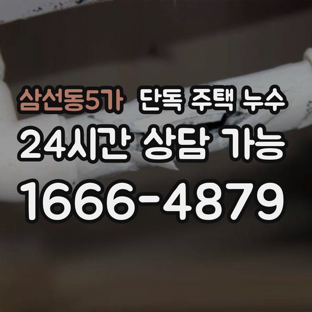 삼선동5가 단독 주택 누수