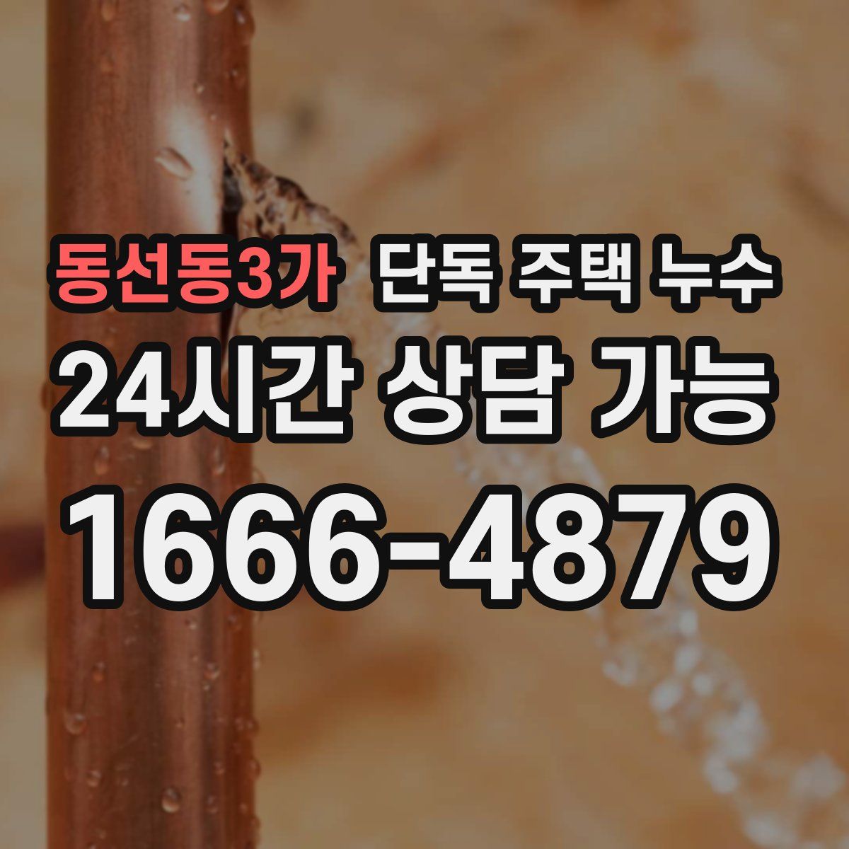 동선동3가 단독 주택 누수