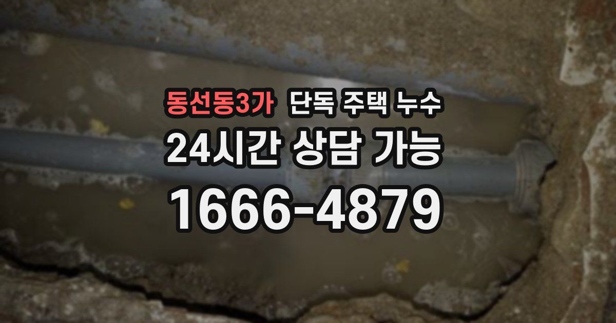 동선동3가 단독 주택 누수