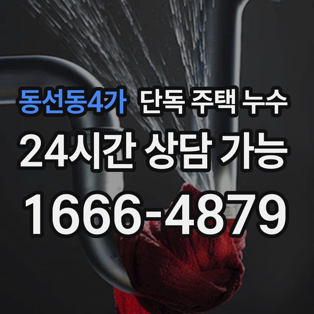 동선동4가 단독 주택 누수