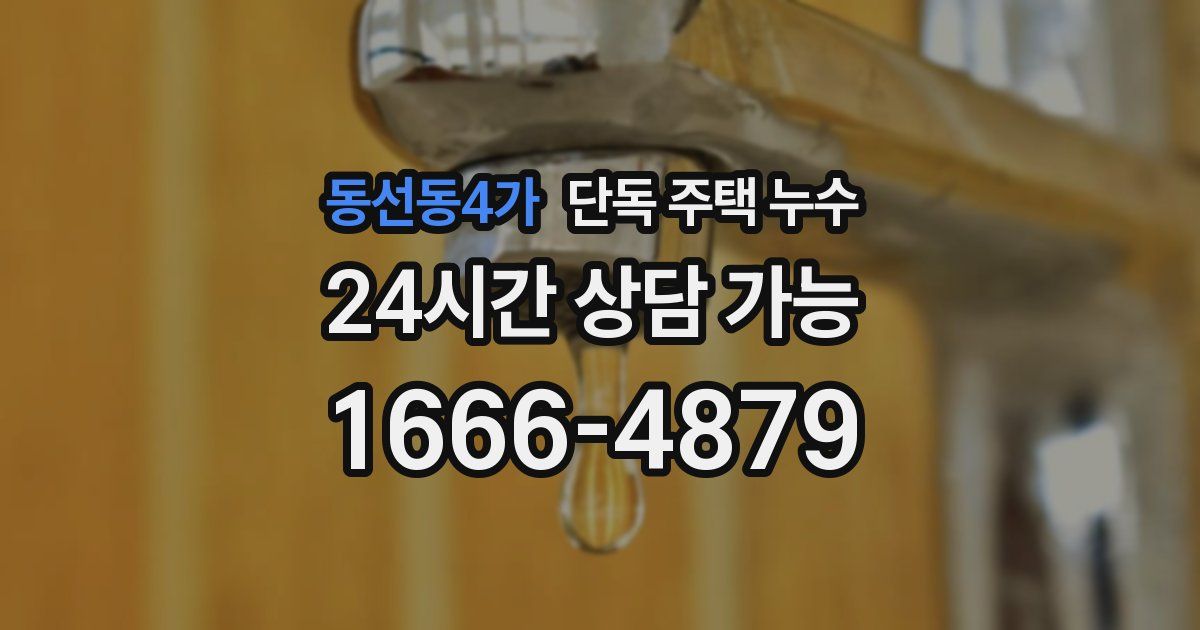 동선동4가 단독 주택 누수