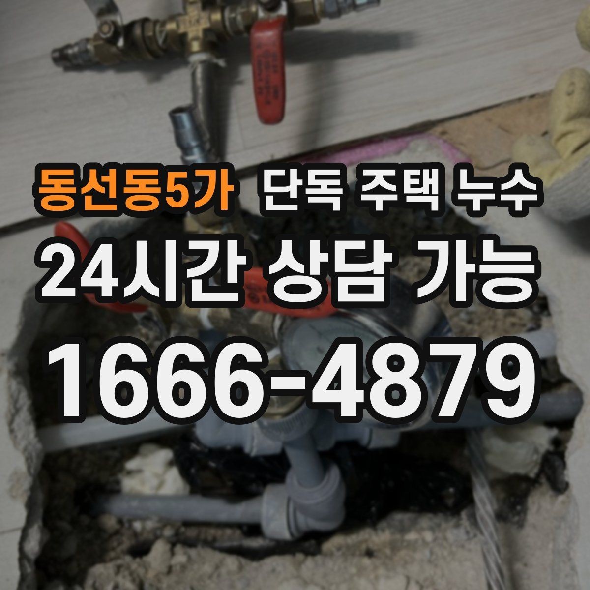 동선동5가 단독 주택 누수 벽 모서리 곰팡이가 반복될 때 점검