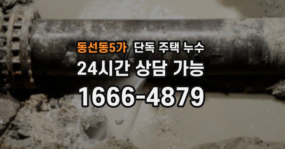 동선동5가 단독 주택 누수