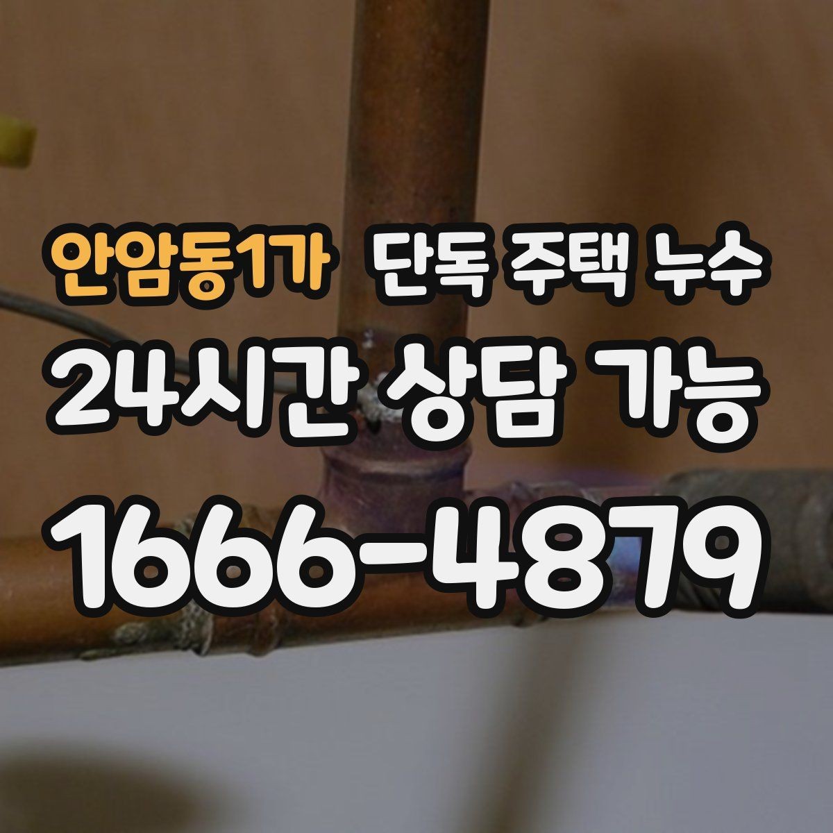 안암동1가 단독 주택 누수 지붕 누수는 왜 특정 방에서만 나타날까