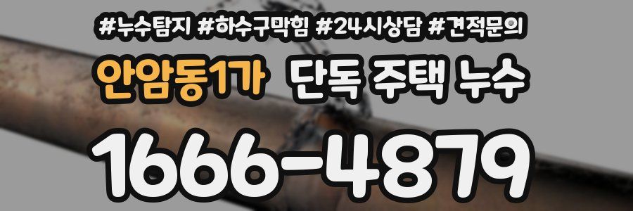 안암동1가 단독 주택 누수