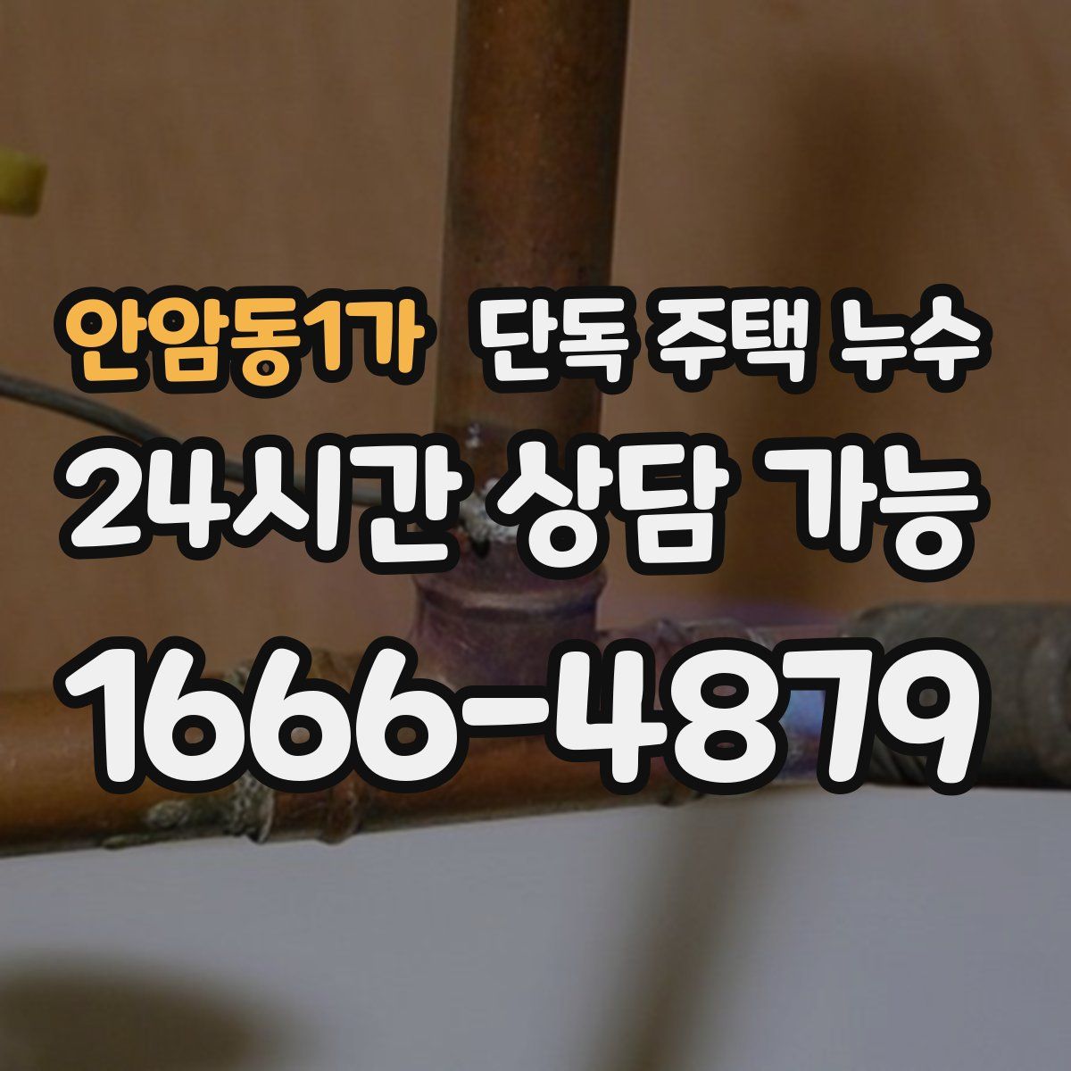 안암동1가 단독 주택 누수