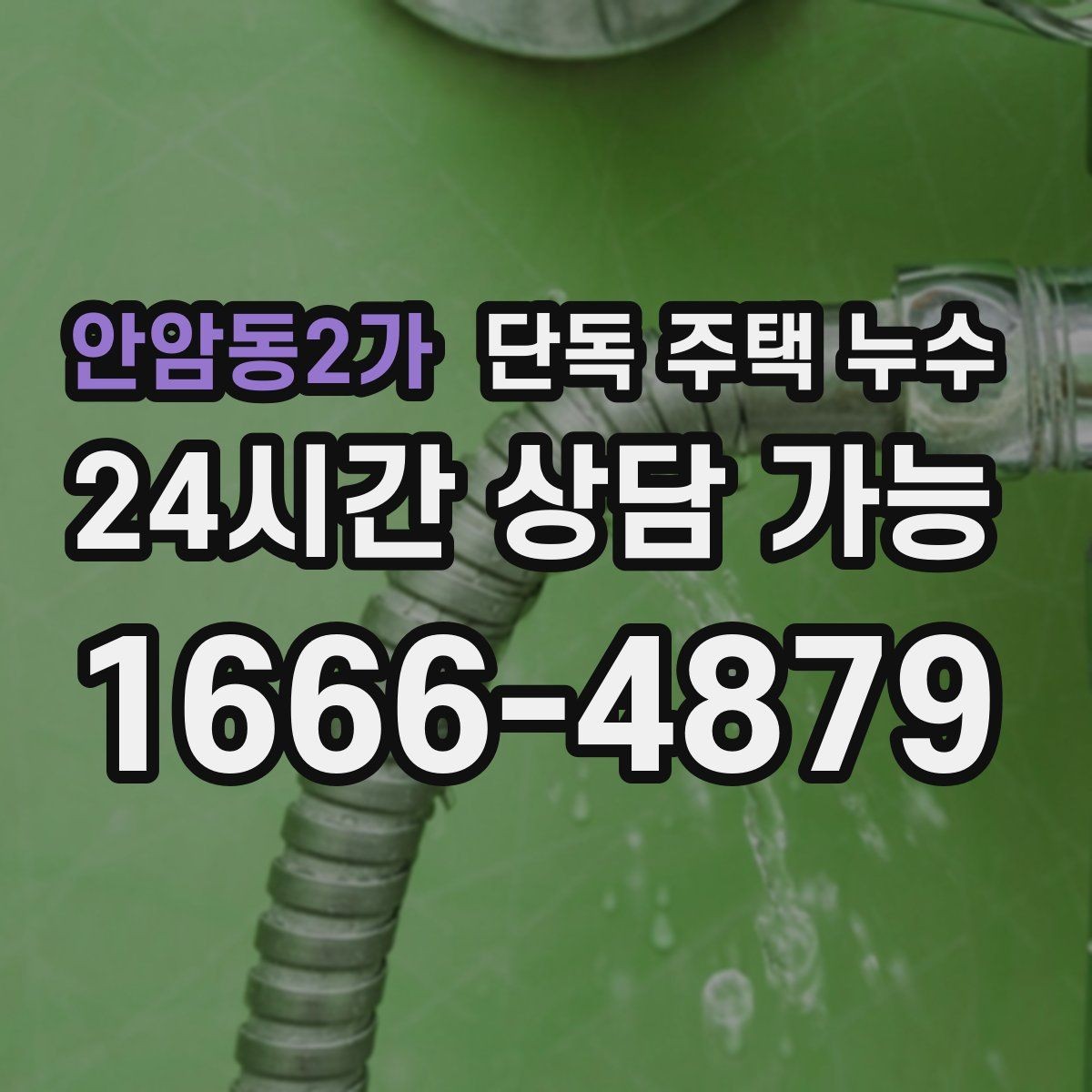 안암동2가 단독 주택 누수 빗물 흔적과 배관 누수 흔적 차이