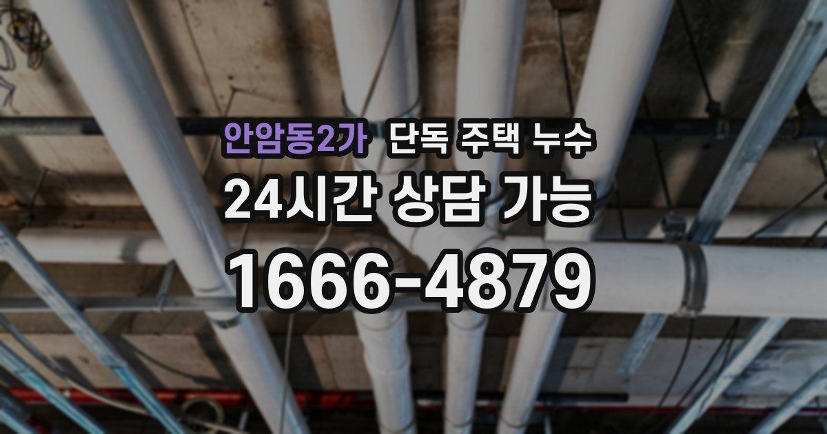 안암동2가 단독 주택 누수