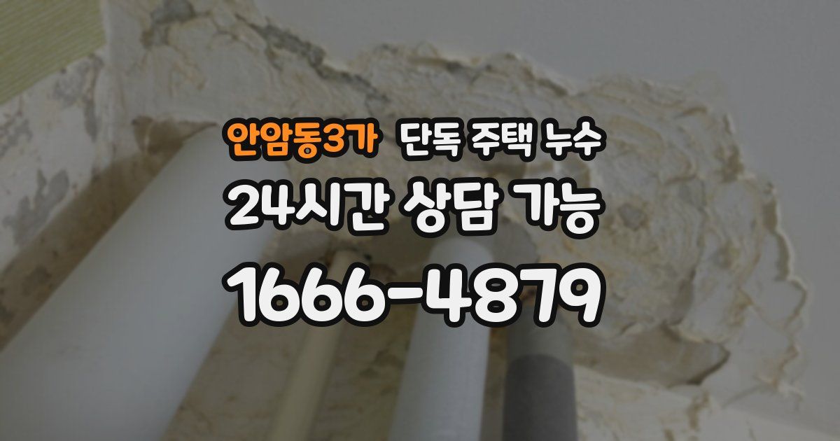 안암동3가 단독 주택 누수