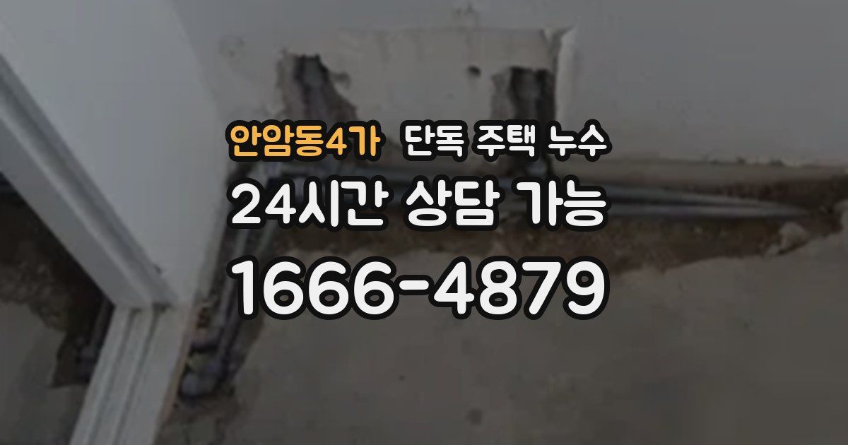 안암동4가 단독 주택 누수