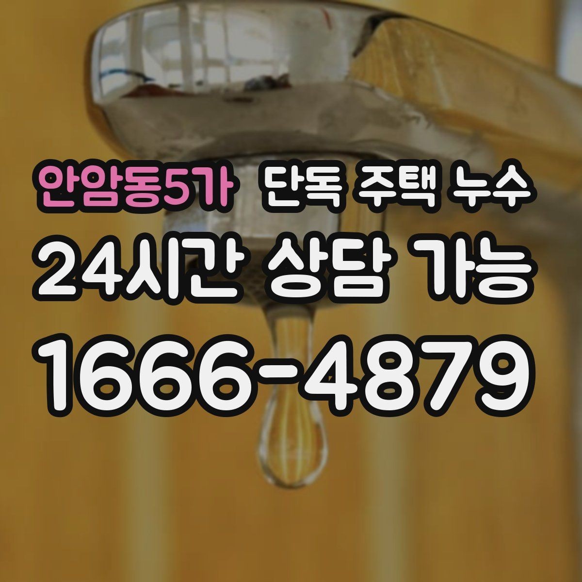안암동5가 단독 주택 누수 보일러 배관 연결부 누수 의심될 때