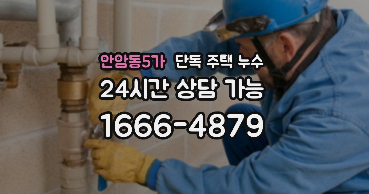 안암동5가 단독 주택 누수