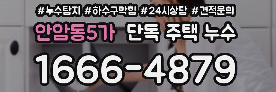 안암동5가 단독 주택 누수