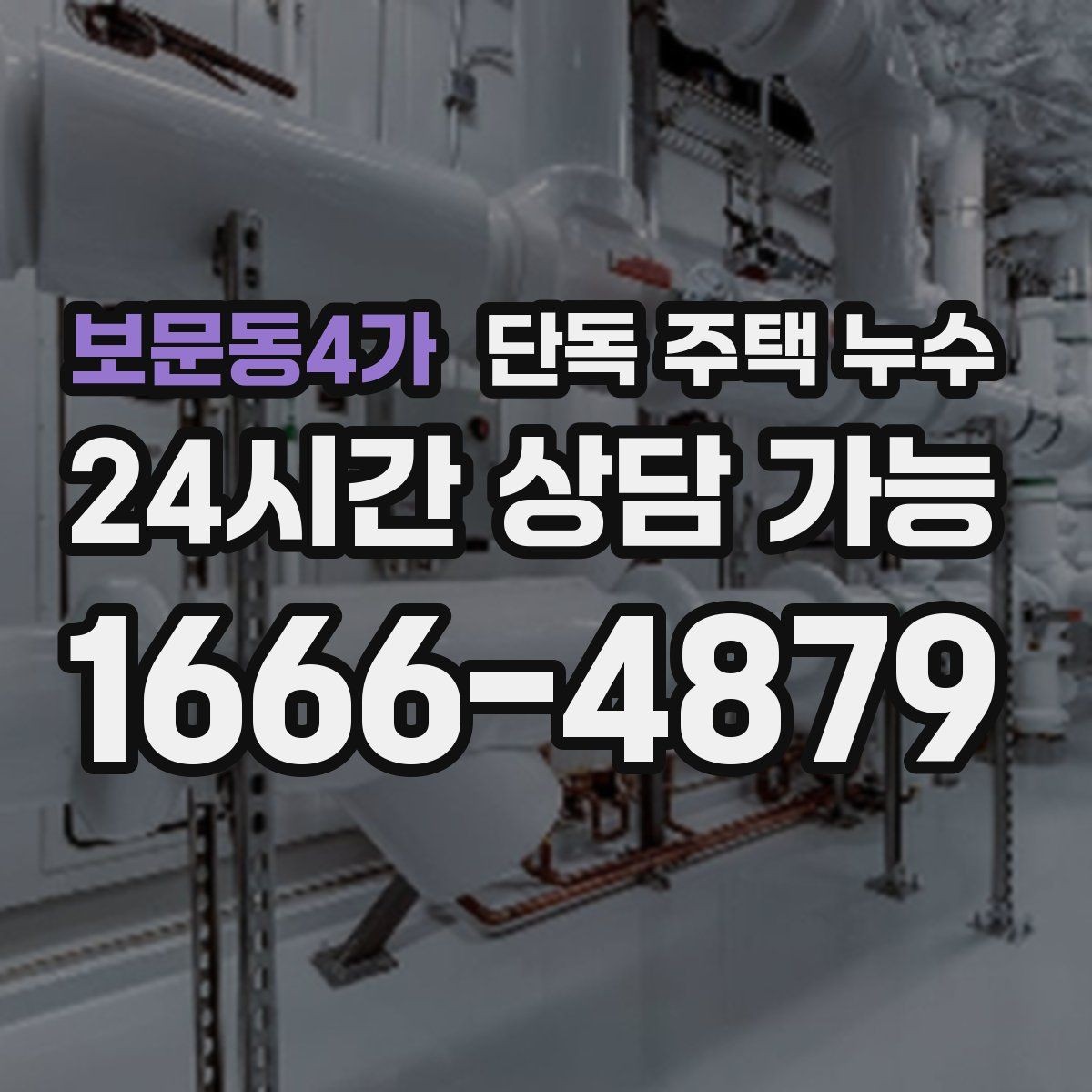 보문동4가 단독 주택 누수 곰팡이만 생기고 물자국은 없을 때