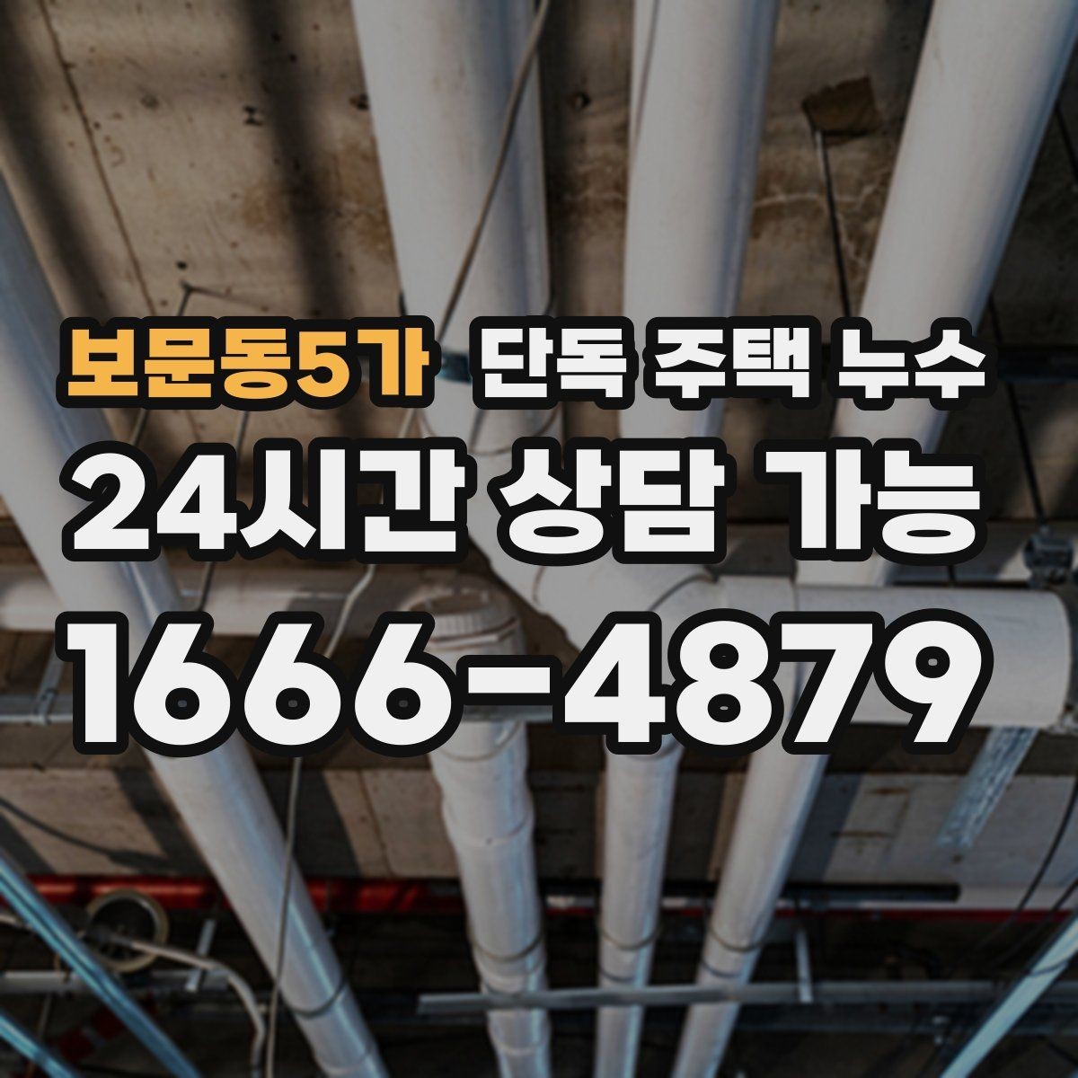보문동5가 단독 주택 누수 거실 천장 가장자리로 번지는 물자국 의미