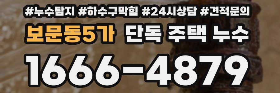 보문동5가 단독 주택 누수