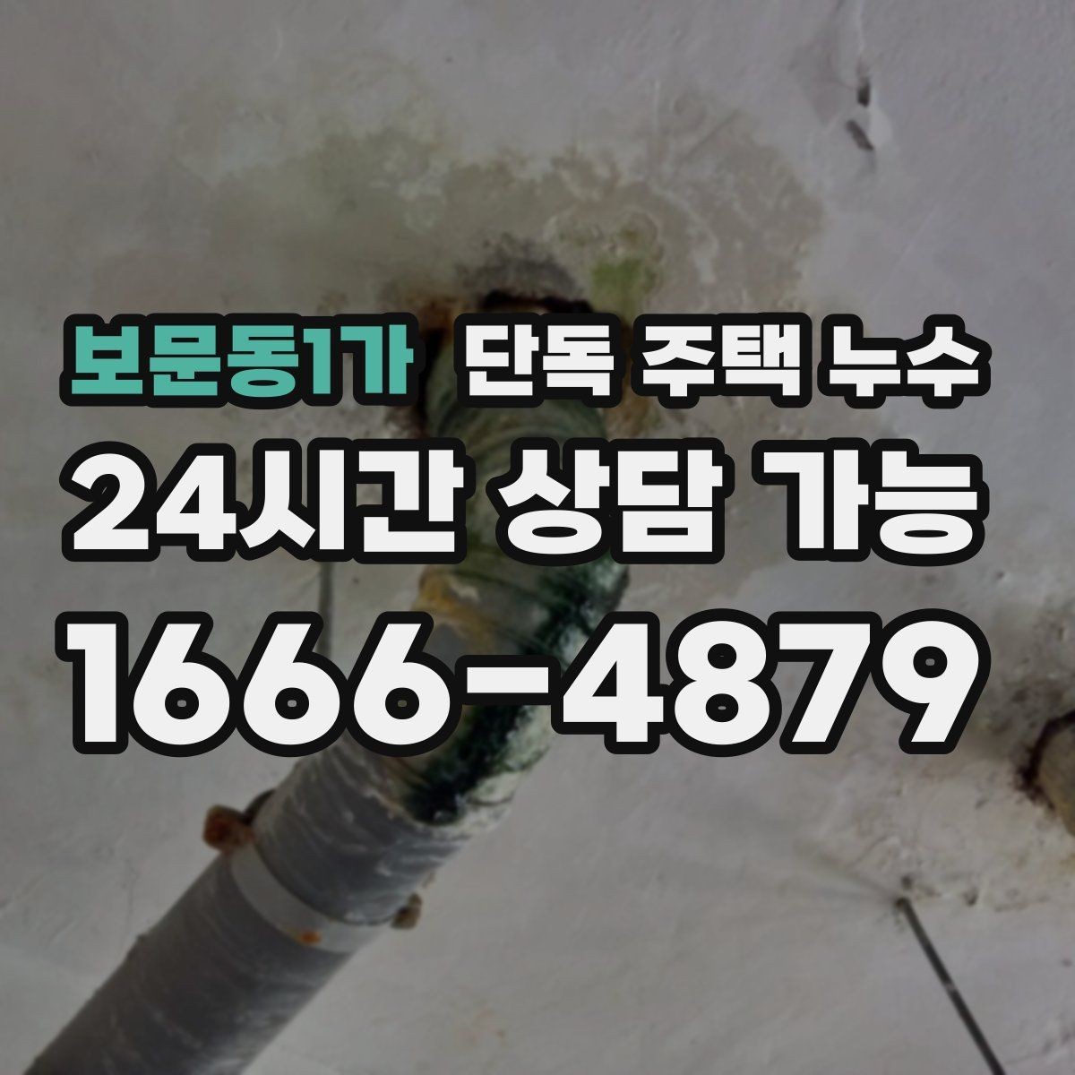 보문동1가 단독 주택 누수 물자국이 줄처럼 흐를 때 원인 추정