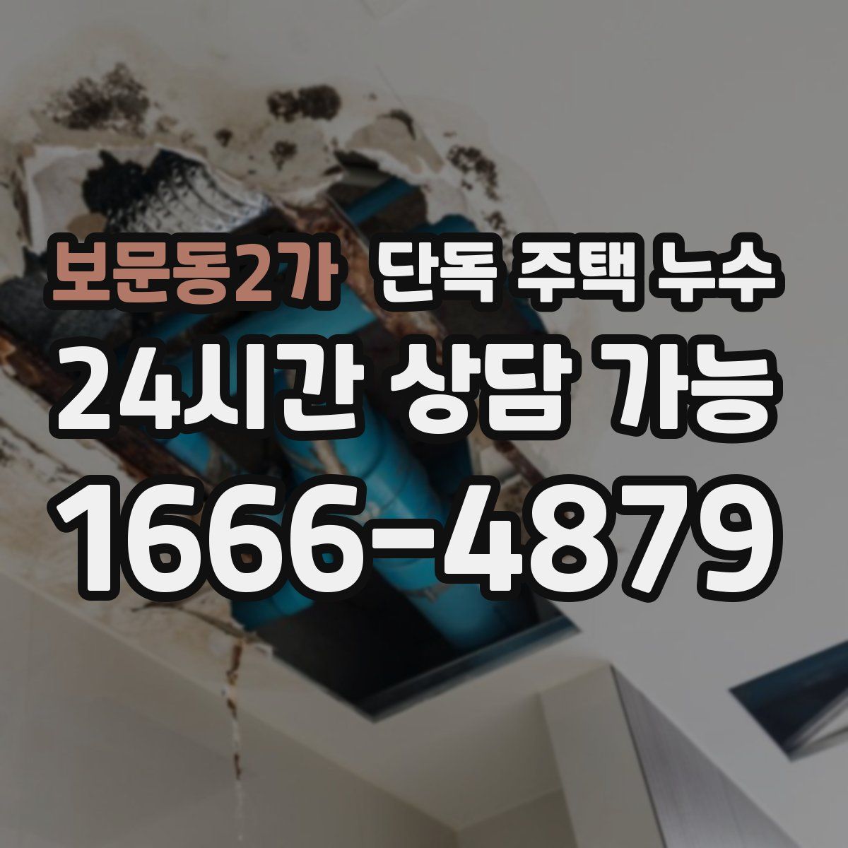 보문동2가 단독 주택 누수