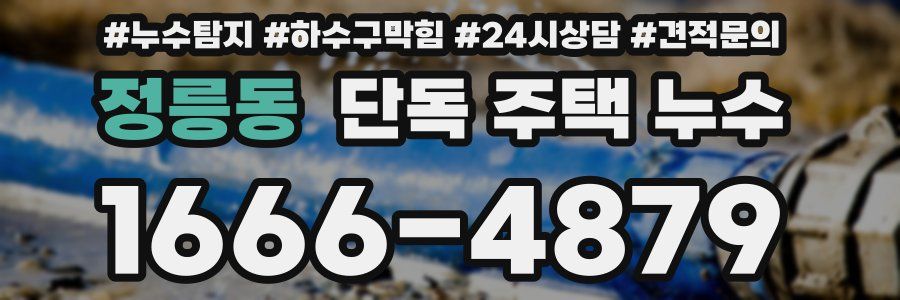 정릉동 단독 주택 누수