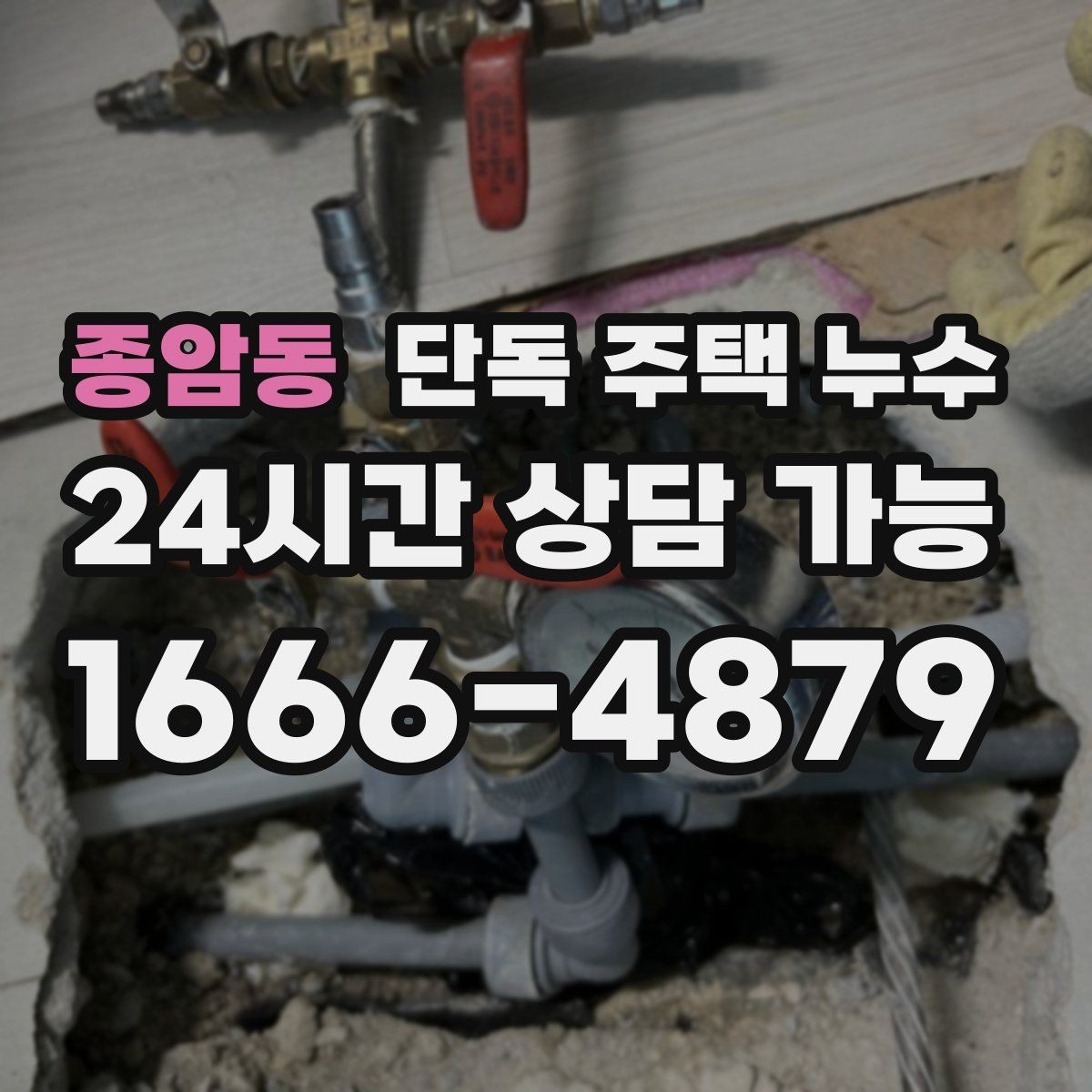 종암동 단독 주택 누수 창고와 본채 연결부에서 새는 경우