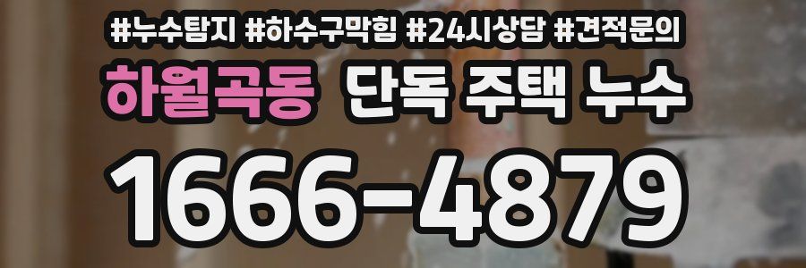 하월곡동 단독 주택 누수