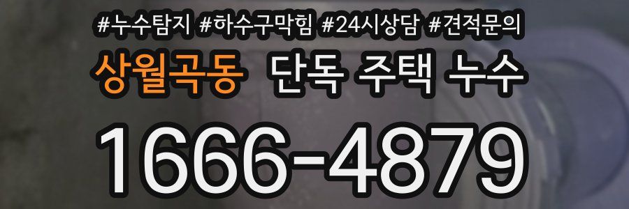 상월곡동 단독 주택 누수