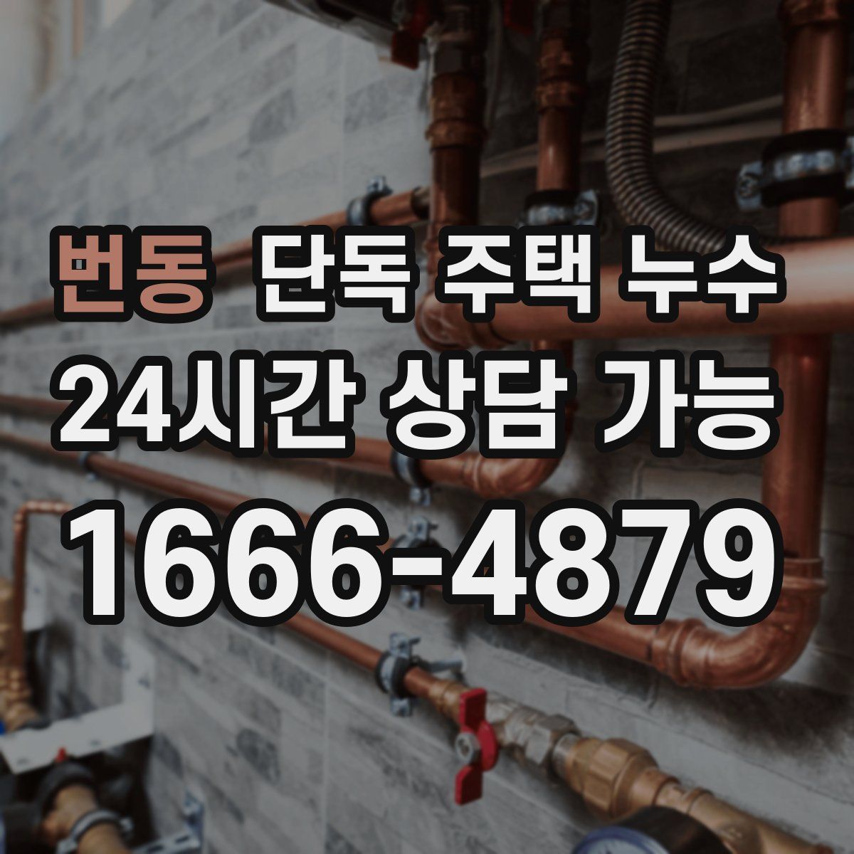 번동 단독 주택 누수