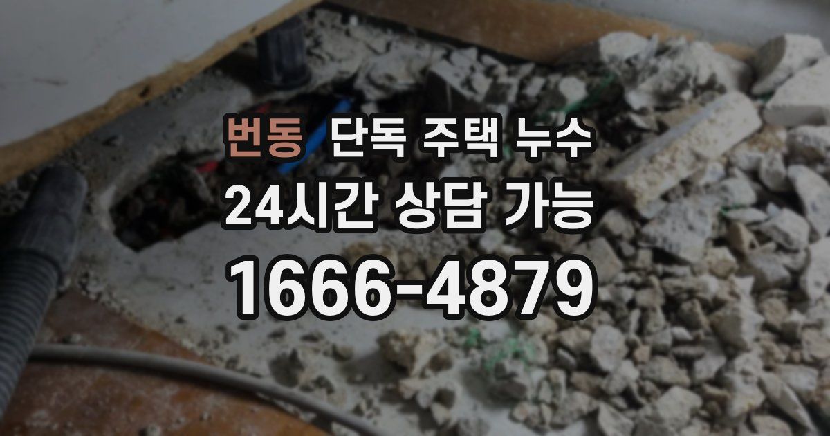 번동 단독 주택 누수