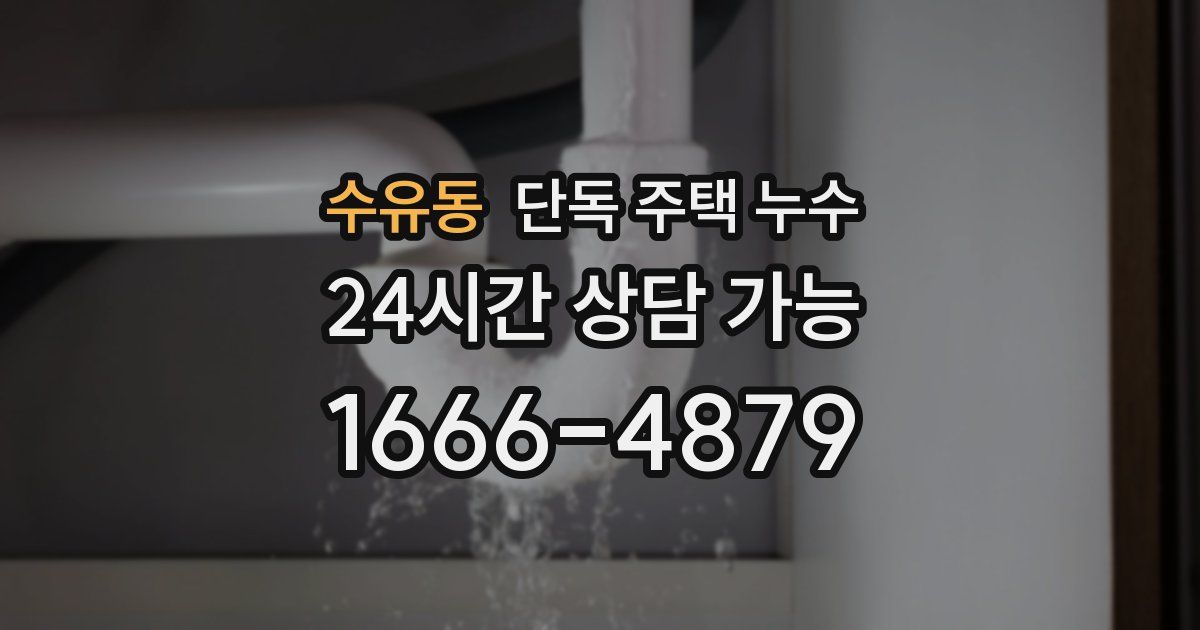 수유동 단독 주택 누수