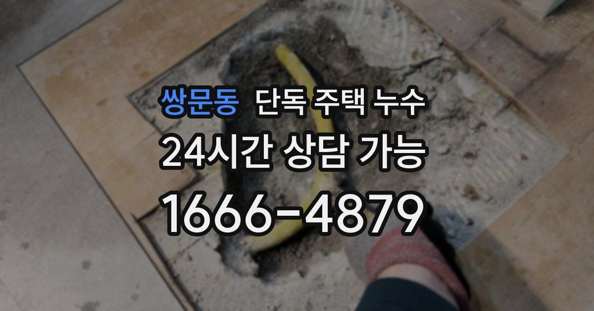 쌍문동 단독 주택 누수