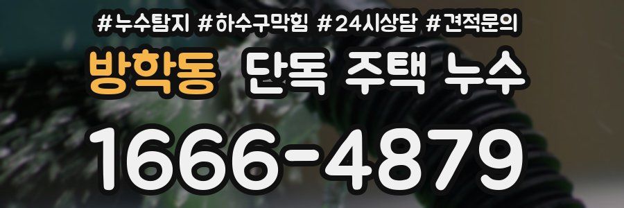 방학동 단독 주택 누수