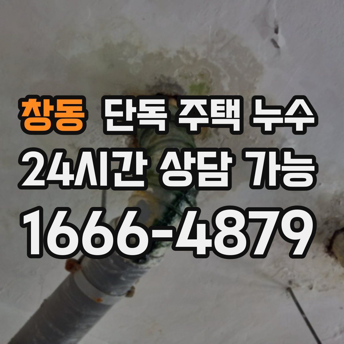 창동 단독 주택 누수