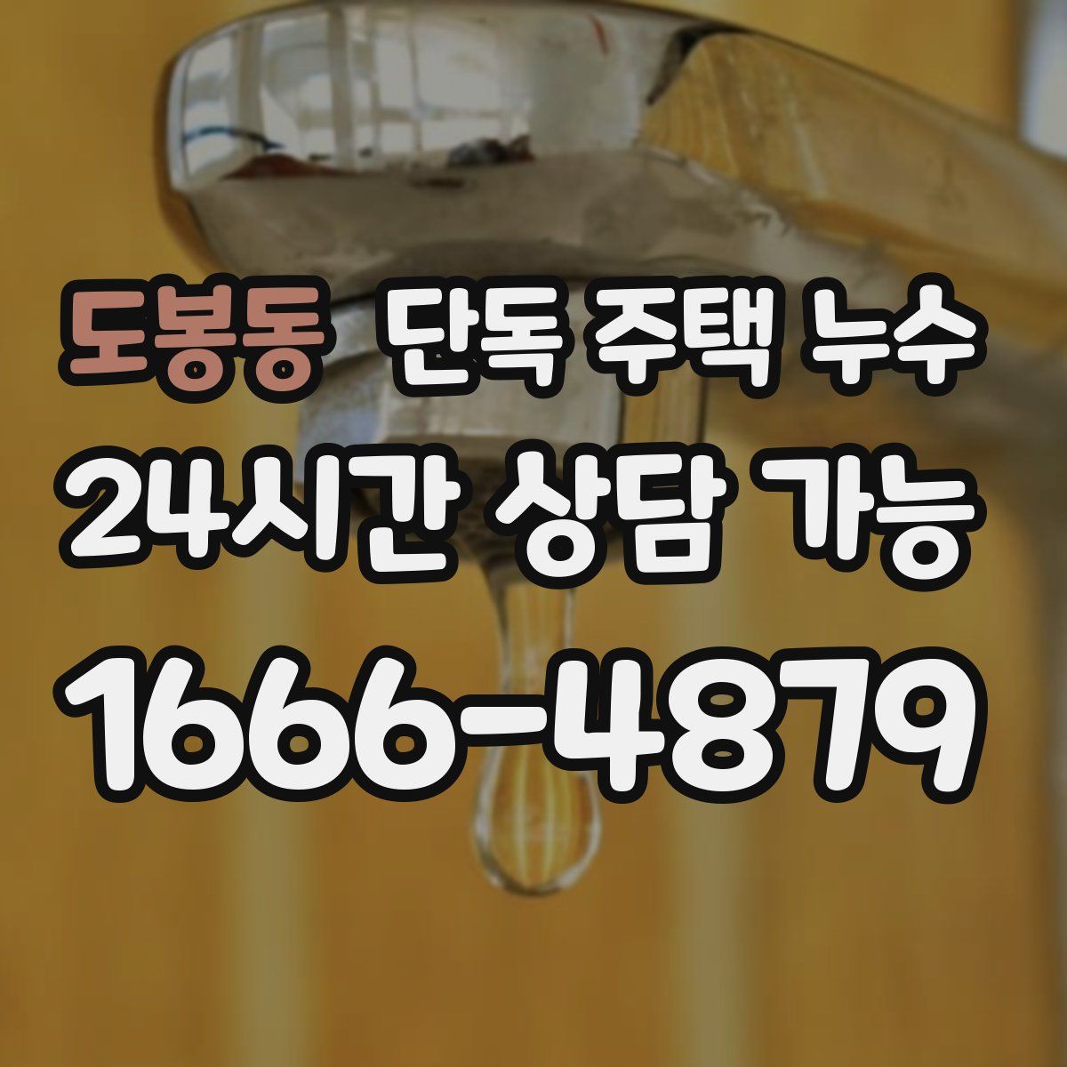 도봉동 단독 주택 누수