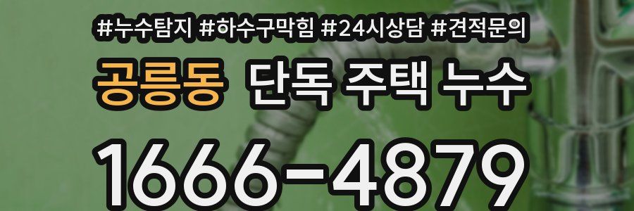 공릉동 단독 주택 누수