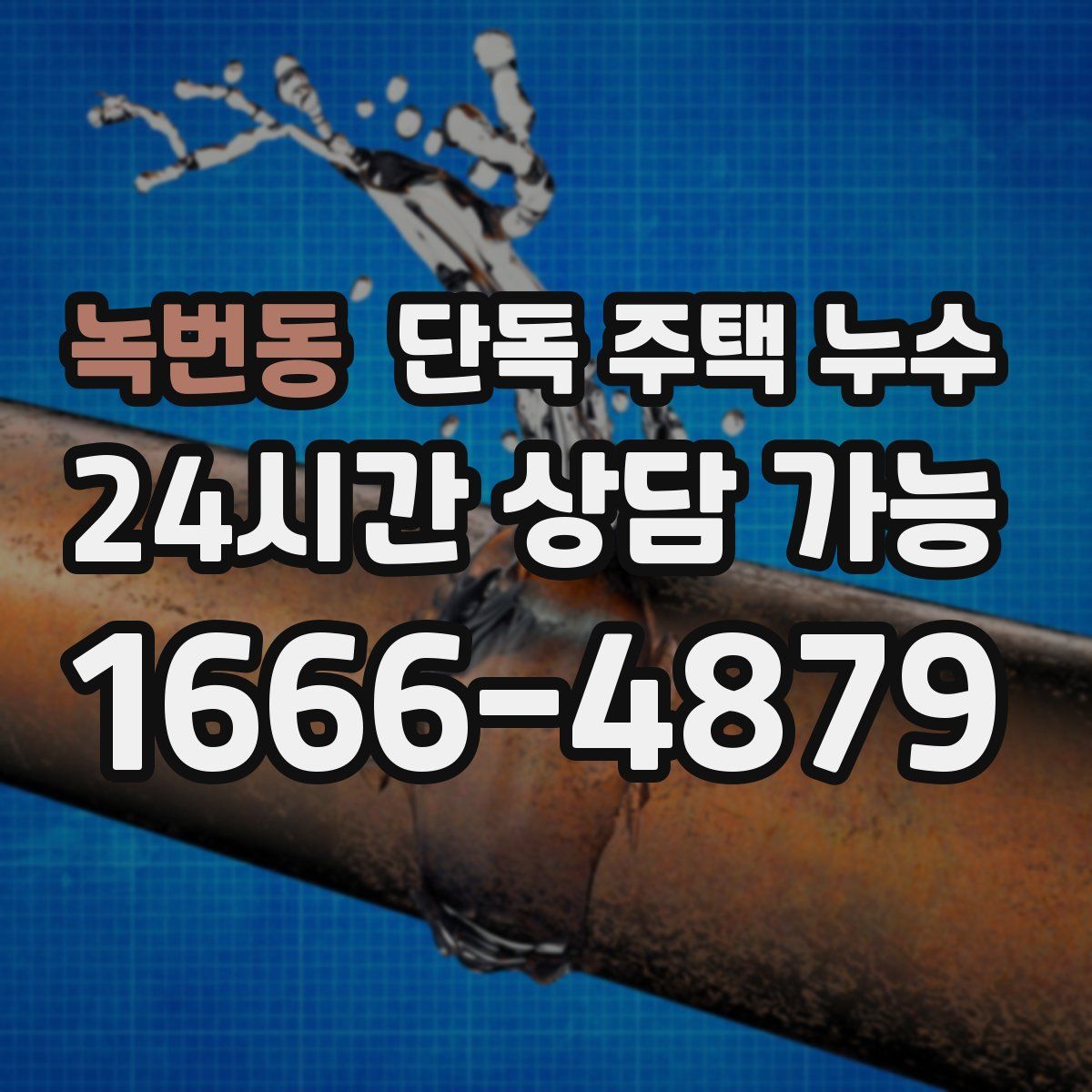 녹번동 단독 주택 누수