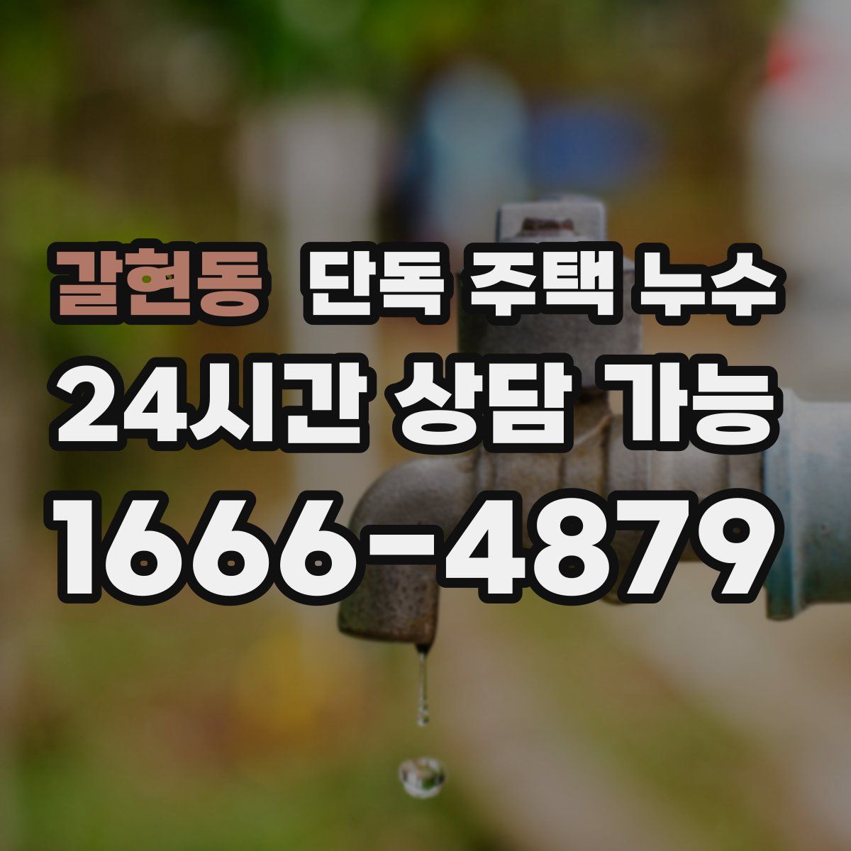 갈현동 단독 주택 누수