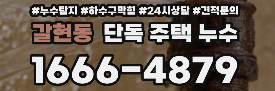 갈현동 단독 주택 누수