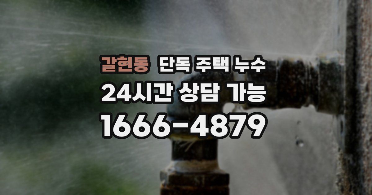 갈현동 단독 주택 누수