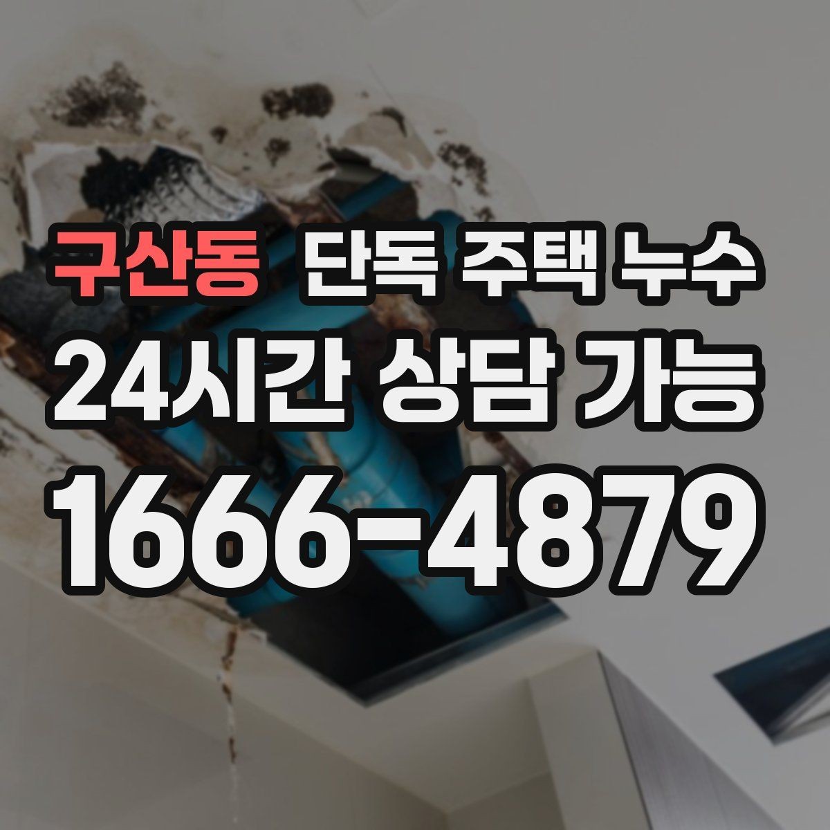 구산동 단독 주택 누수 피해를 줄이는 가장 빠른 대응 순서