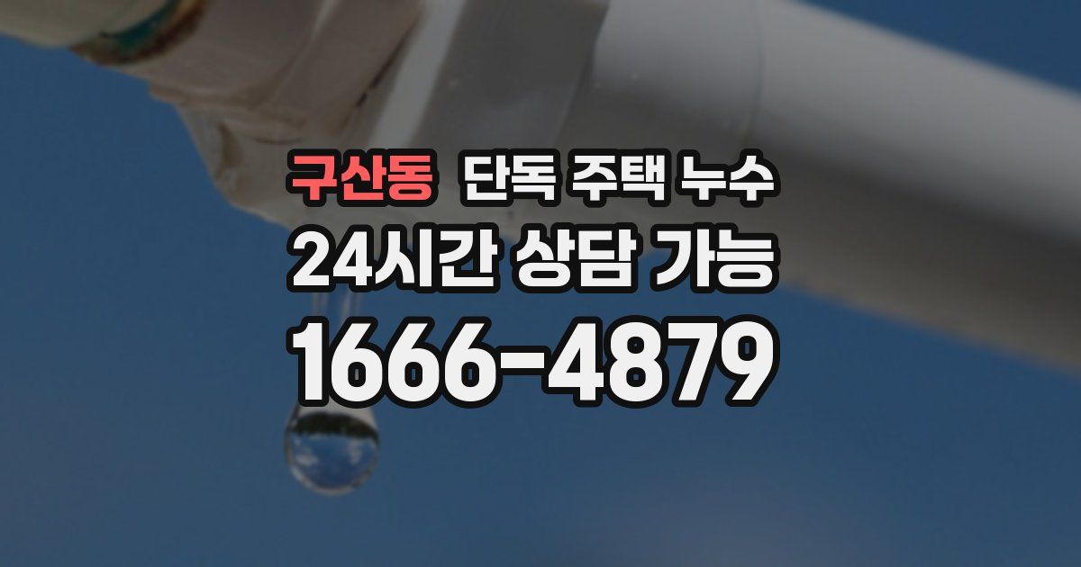 구산동 단독 주택 누수