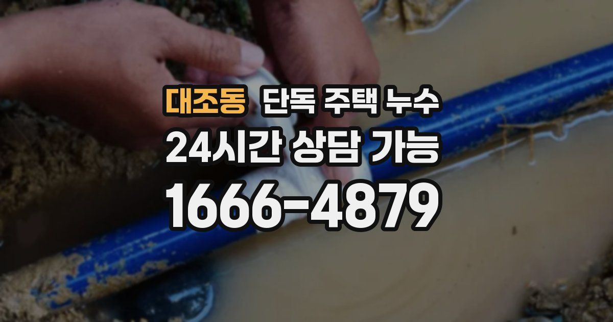 대조동 단독 주택 누수