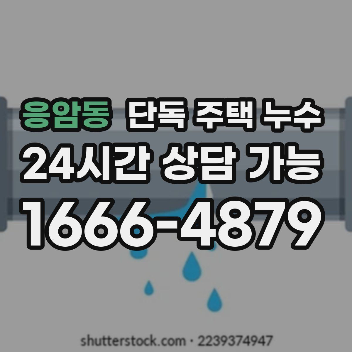 응암동 단독 주택 누수 하수관 냄새와 습기가 같이 올라올 때